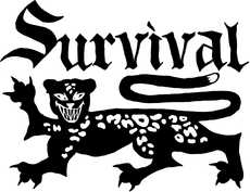 Logo de marca parceira 27